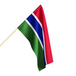 Flaga Gambii różne wymiary Flaga Gambii różne wymiary