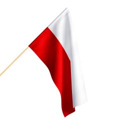 Flaga Turyngii różne rozmiary Flaga Turyngii różne rozmiary