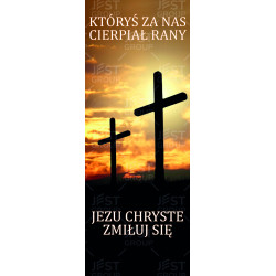 Baner na Wielki Piątek "Któryś Za Nas Cierpiał Rany"