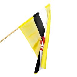 Flaga Brunei JEST Group